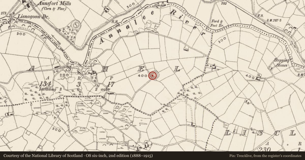 Ordnance Survey six-inch map, 2nd edition (1888–1915) covering the location of Ringfort - rath, Cashel, County Cavan, with a pin at the register's coordinates