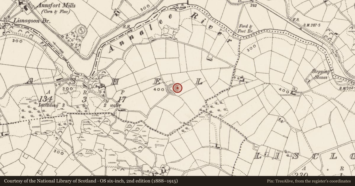 Ordnance Survey six-inch map, 2nd edition (1888–1915) covering the location of Souterrain, Cashel, County Cavan, with a pin at the register's coordinates