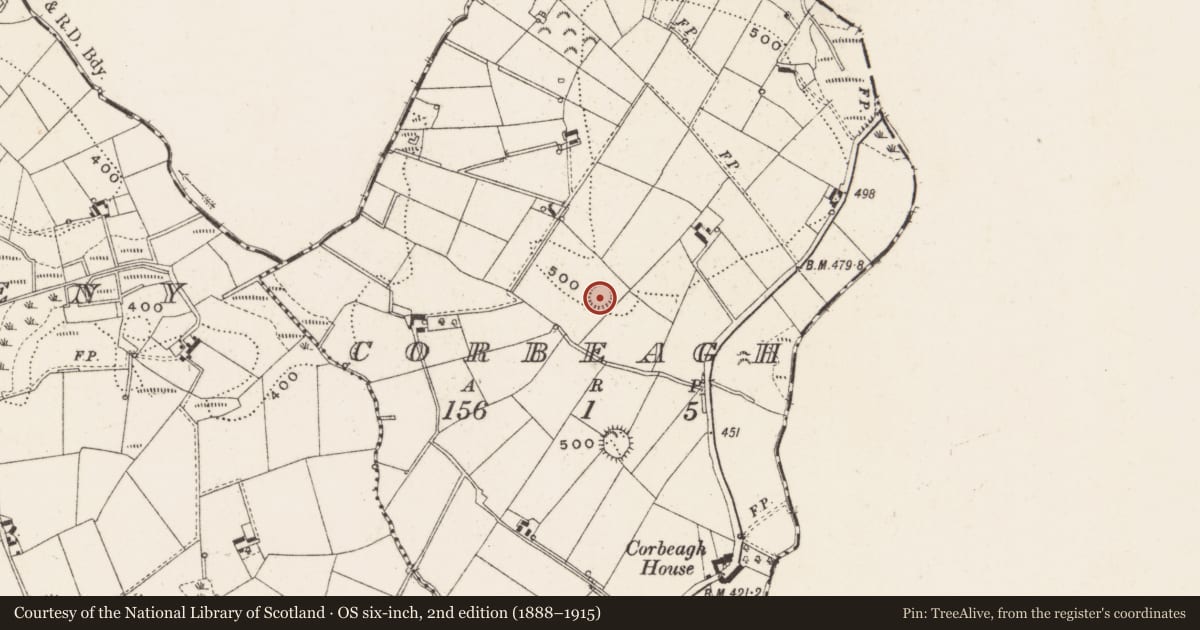 Ordnance Survey six-inch map, 2nd edition (1888–1915) covering the location of Ringfort - rath, Corbeagh, County Cavan, with a pin at the register's coordinates