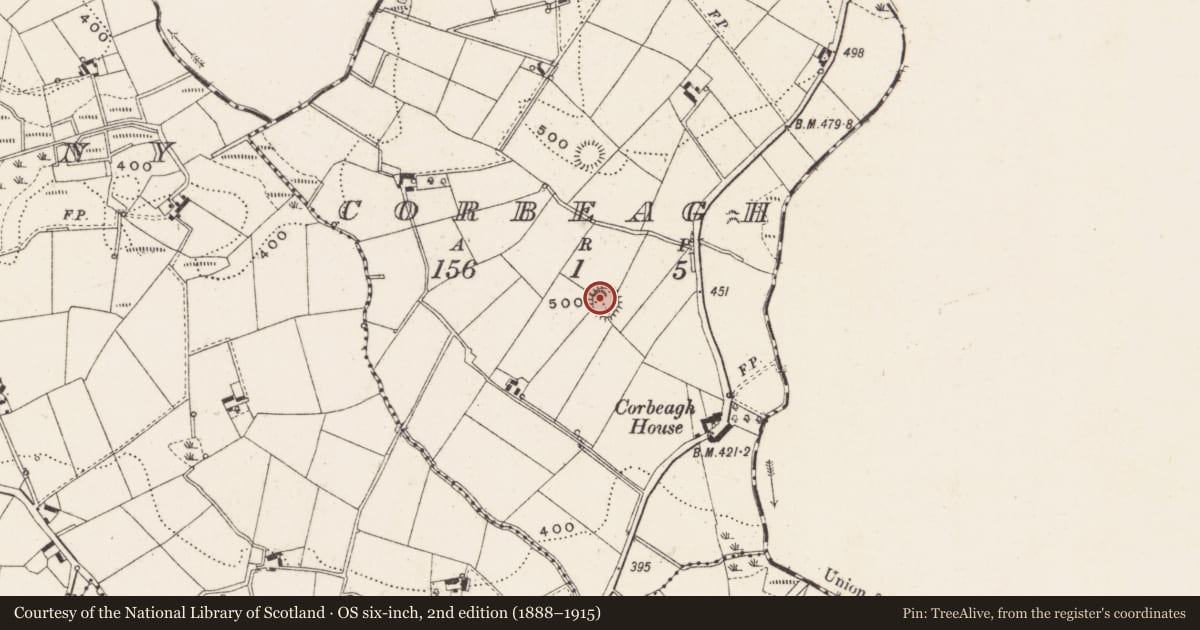 Ordnance Survey six-inch map, 2nd edition (1888–1915) covering the location of Ringfort - rath, Corbeagh, County Cavan, with a pin at the register's coordinates