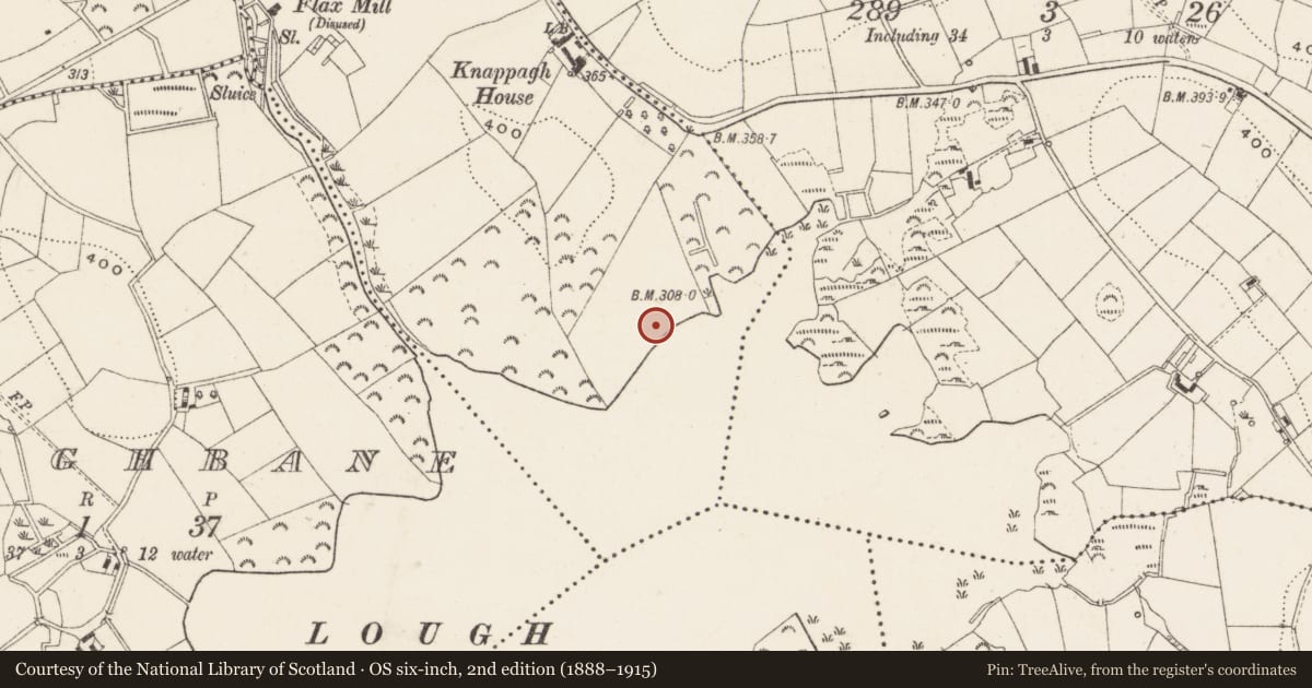 Ordnance Survey six-inch map, 2nd edition (1888–1915) covering the location of Ringfort - rath, Corcloghan, County Cavan, with a pin at the register's coordinates