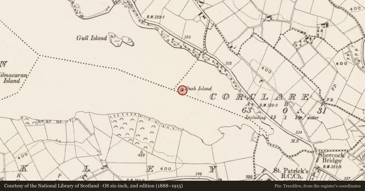 Ordnance Survey six-inch map, 2nd edition (1888–1915) covering the location of Crannog, Corclare, County Cavan, with a pin at the register's coordinates