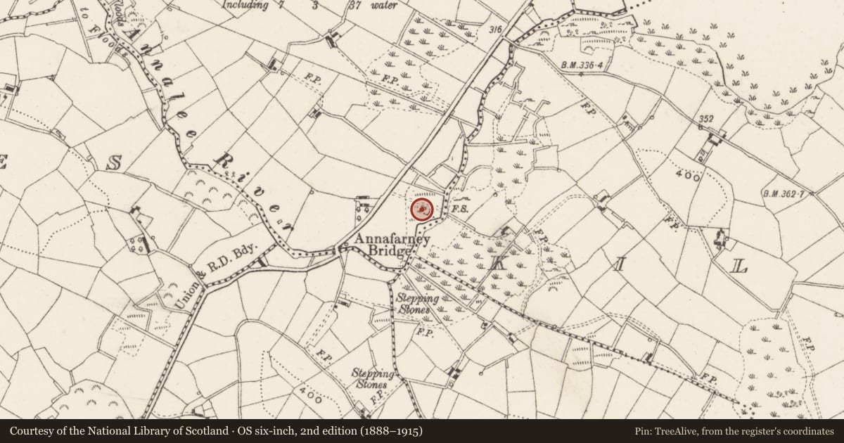 Ordnance Survey six-inch map, 2nd edition (1888–1915) covering the location of Ritual site - holy well, Crilea, County Cavan, with a pin at the register's coordinates