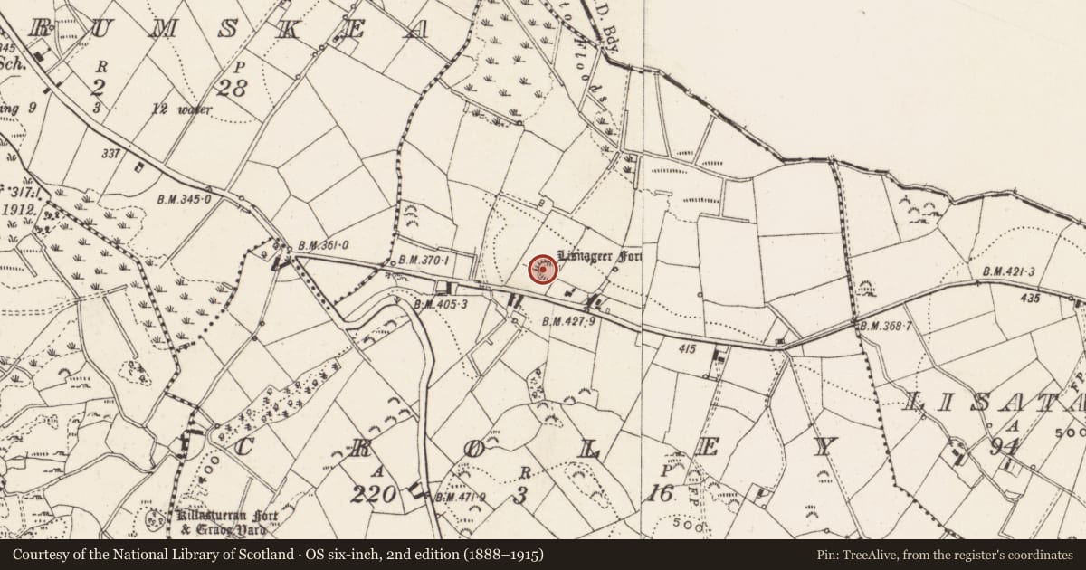 Ordnance Survey six-inch map, 2nd edition (1888–1915) covering the location of Ringfort - rath, Croley, County Cavan, with a pin at the register's coordinates