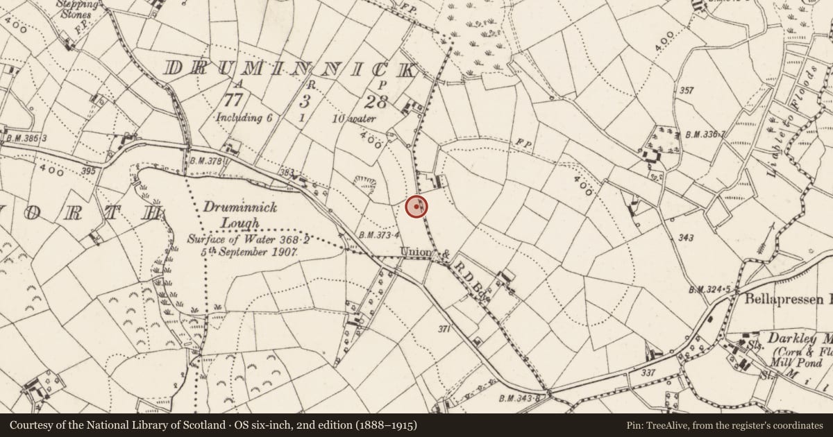 Ordnance Survey six-inch map, 2nd edition (1888–1915) covering the location of Ringfort - rath, Druminnick, County Cavan, with a pin at the register's coordinates