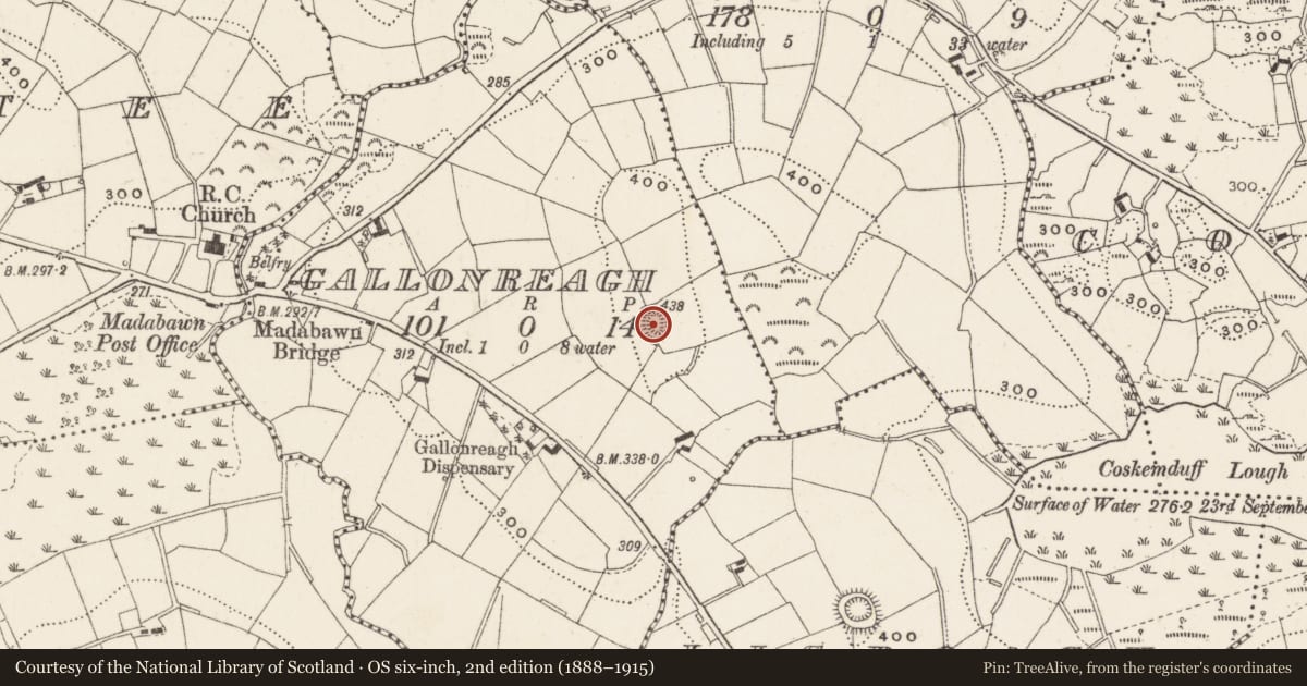 Ordnance Survey six-inch map, 2nd edition (1888–1915) covering the location of Ringfort - rath, Gallonreagh, County Cavan, with a pin at the register's coordinates