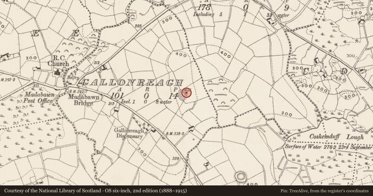 Ordnance Survey six-inch map, 2nd edition (1888–1915) covering the location of Souterrain, Gallonreagh, County Cavan, with a pin at the register's coordinates