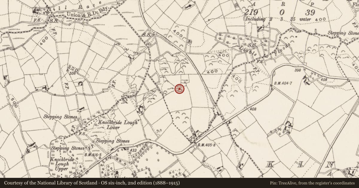 Ordnance Survey six-inch map, 2nd edition (1888–1915) covering the location of Enclosure, Killaliss, County Cavan, with a pin at the register's coordinates