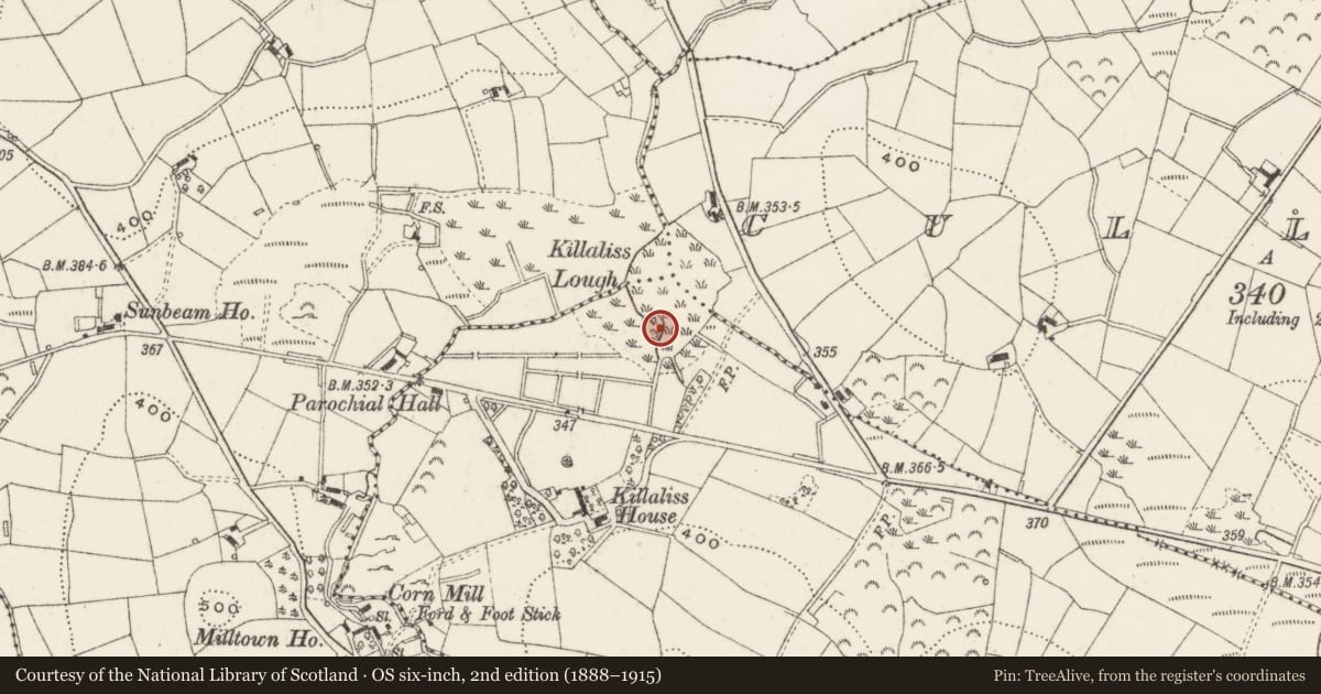 Ordnance Survey six-inch map, 2nd edition (1888–1915) covering the location of Crannog, Killaliss, County Cavan, with a pin at the register's coordinates