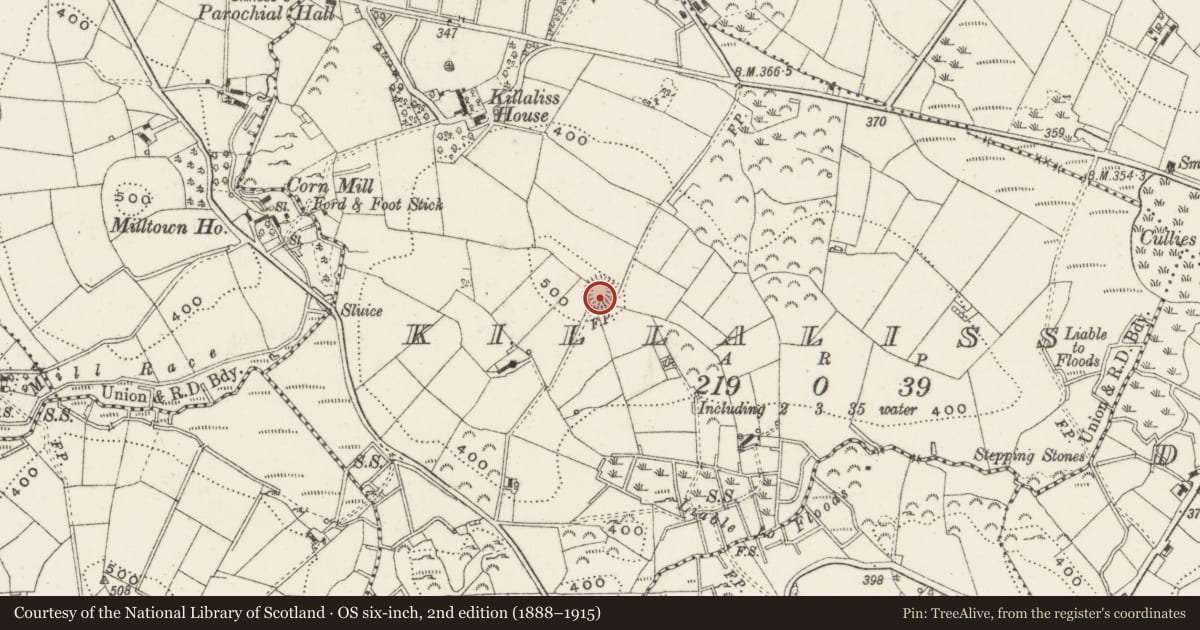 Ordnance Survey six-inch map, 2nd edition (1888–1915) covering the location of Ringfort - rath, Killaliss, County Cavan, with a pin at the register's coordinates