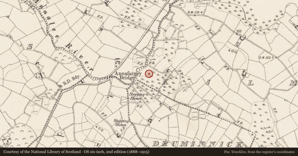 Ordnance Survey six-inch map, 2nd edition (1888–1915) covering the location of Church, Killymacaran, County Cavan, with a pin at the register's coordinates