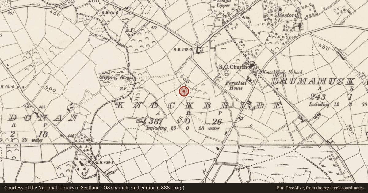 Ordnance Survey six-inch map, 2nd edition (1888–1915) covering the location of Ringfort - rath, Knockbride, County Cavan, with a pin at the register's coordinates