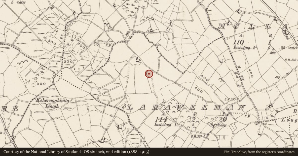 Ordnance Survey six-inch map, 2nd edition (1888–1915) covering the location of Ringfort - rath, Laraweehan, County Cavan, with a pin at the register's coordinates