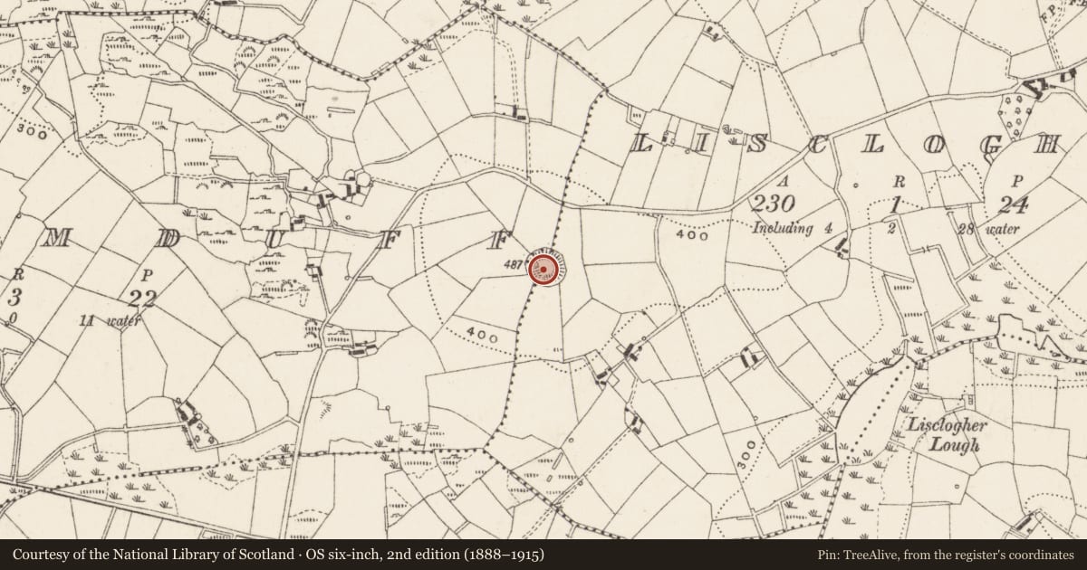 Ordnance Survey six-inch map, 2nd edition (1888–1915) covering the location of Ringfort - rath, Lisclogher, County Cavan, with a pin at the register's coordinates