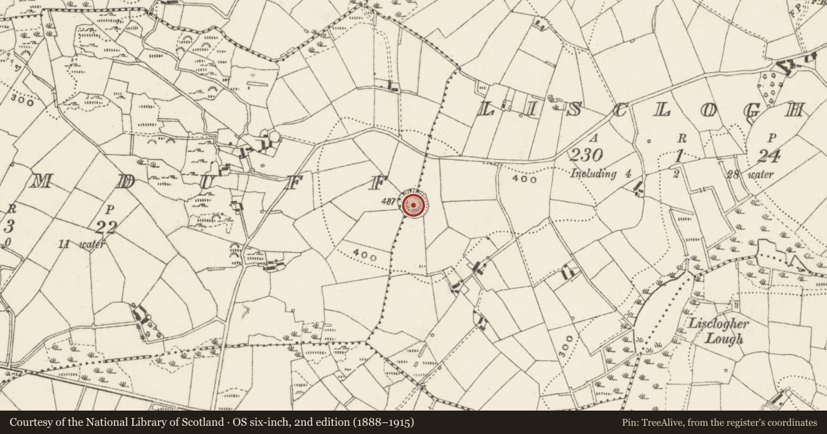Ordnance Survey six-inch map, 2nd edition (1888–1915) covering the location of Souterrain, Lisclogher, County Cavan, with a pin at the register's coordinates