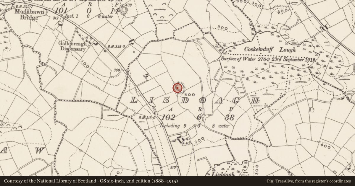 Ordnance Survey six-inch map, 2nd edition (1888–1915) covering the location of Ringfort - rath, Lisdoagh, County Cavan, with a pin at the register's coordinates