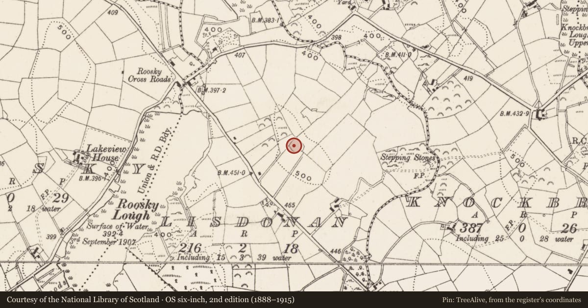 Ordnance Survey six-inch map, 2nd edition (1888–1915) covering the location of Ringfort - rath, Lisdonan, County Cavan, with a pin at the register's coordinates