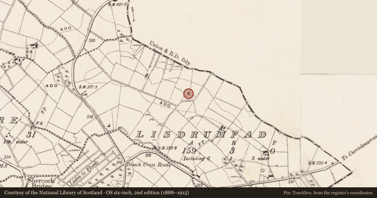 Ordnance Survey six-inch map, 2nd edition (1888–1915) covering the location of Souterrain, Lisdrumfad, County Cavan, with a pin at the register's coordinates
