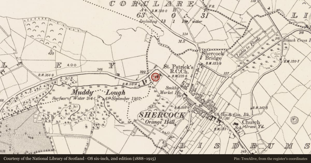 Ordnance Survey six-inch map, 2nd edition (1888–1915) covering the location of Bawn, Lisdrumskea, County Cavan, with a pin at the register's coordinates