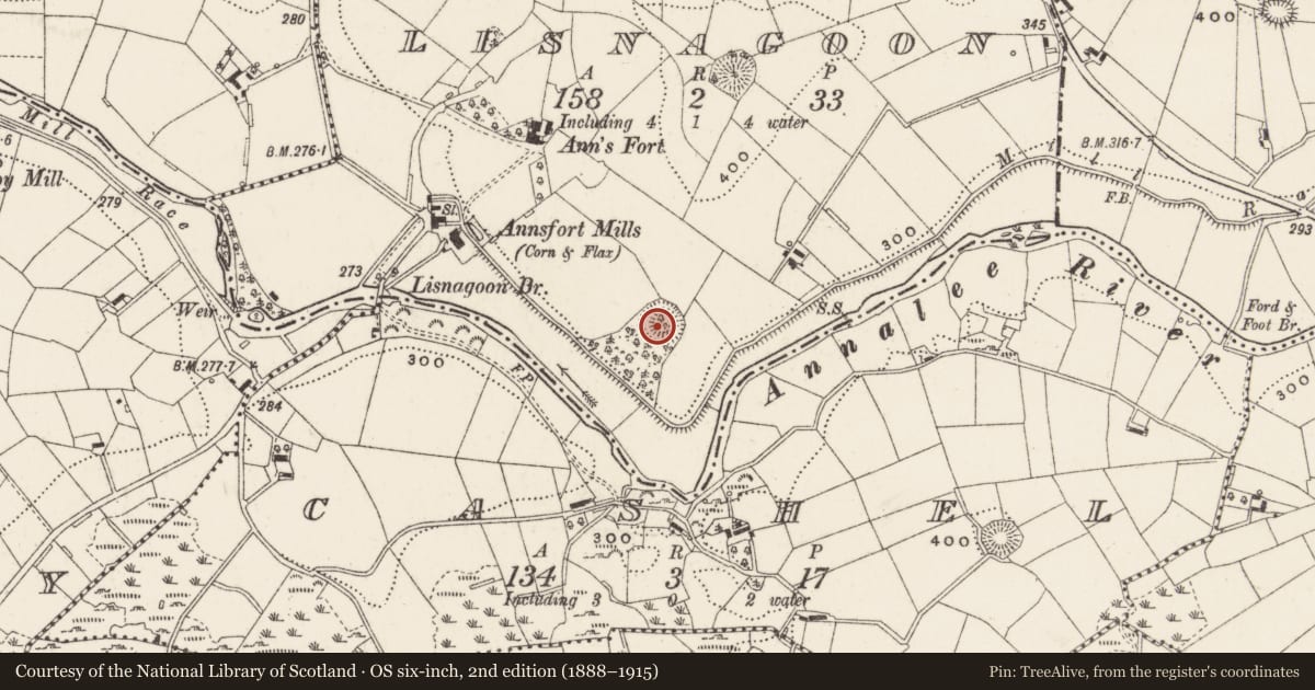 Ordnance Survey six-inch map, 2nd edition (1888–1915) covering the location of Ringfort - rath, Lisnagoon, County Cavan, with a pin at the register's coordinates