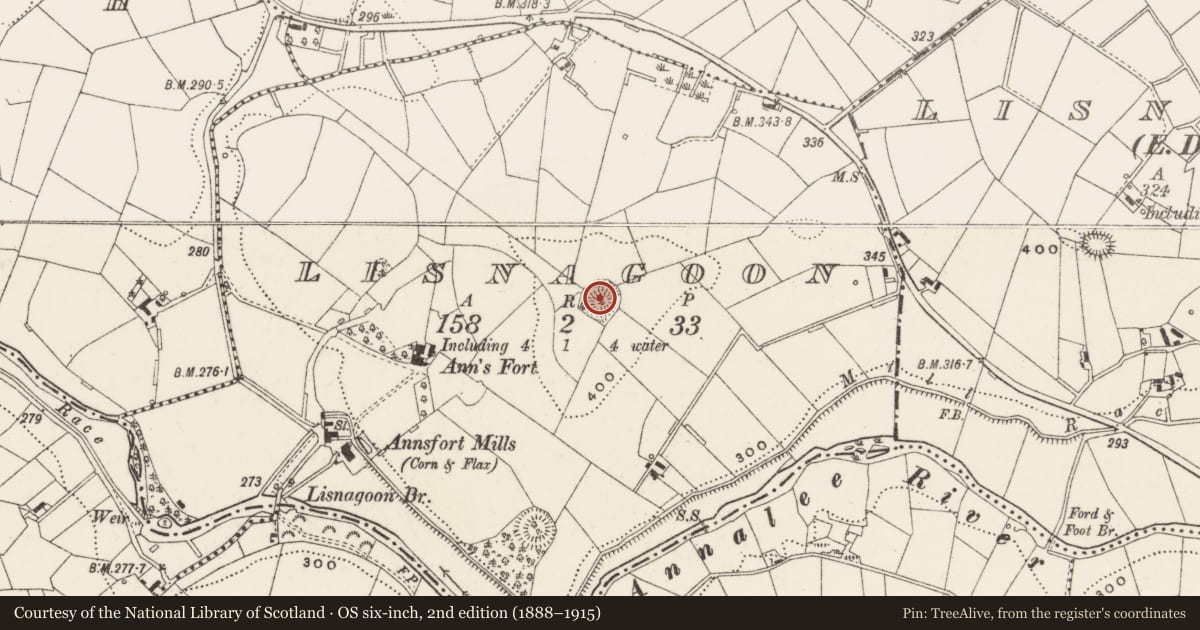 Ordnance Survey six-inch map, 2nd edition (1888–1915) covering the location of Ringfort - rath, Lisnagoon, County Cavan, with a pin at the register's coordinates