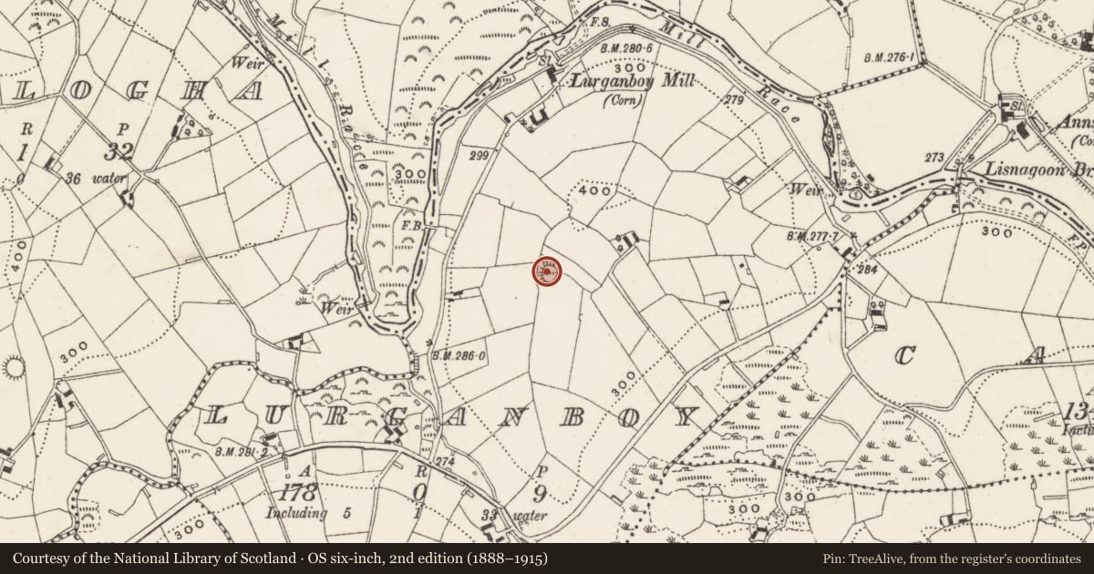 Ordnance Survey six-inch map, 2nd edition (1888–1915) covering the location of Ringfort - rath, Lurganboy, County Cavan, with a pin at the register's coordinates
