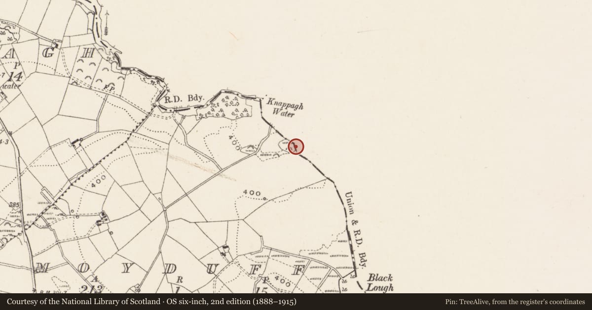 Ordnance Survey six-inch map, 2nd edition (1888–1915) covering the location of Enclosure, Moyduff, County Cavan, with a pin at the register's coordinates