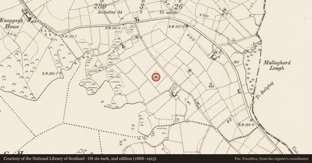 Ordnance Survey six-inch map, 2nd edition (1888–1915) covering the location of Enclosure, Mullaghard, County Cavan, with a pin at the register's coordinates