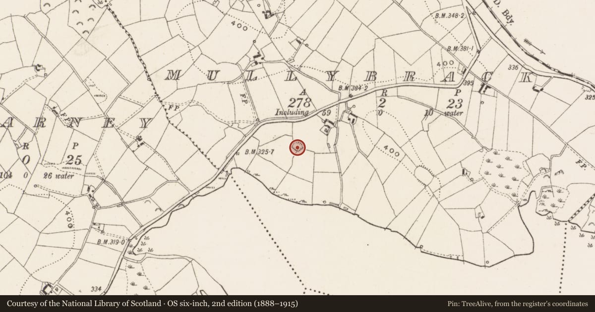 Ordnance Survey six-inch map, 2nd edition (1888–1915) covering the location of Ringfort - rath, Mullybrack, County Cavan, with a pin at the register's coordinates