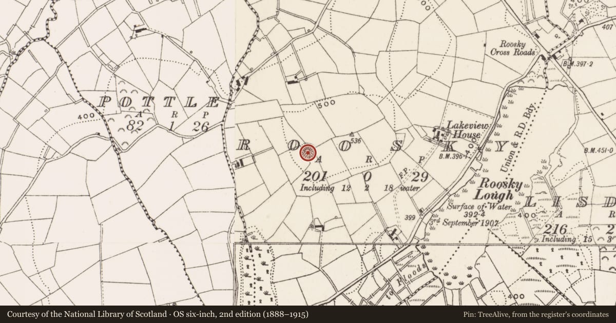 Ordnance Survey six-inch map, 2nd edition (1888–1915) covering the location of Ringfort - rath, Roosky, County Cavan, with a pin at the register's coordinates