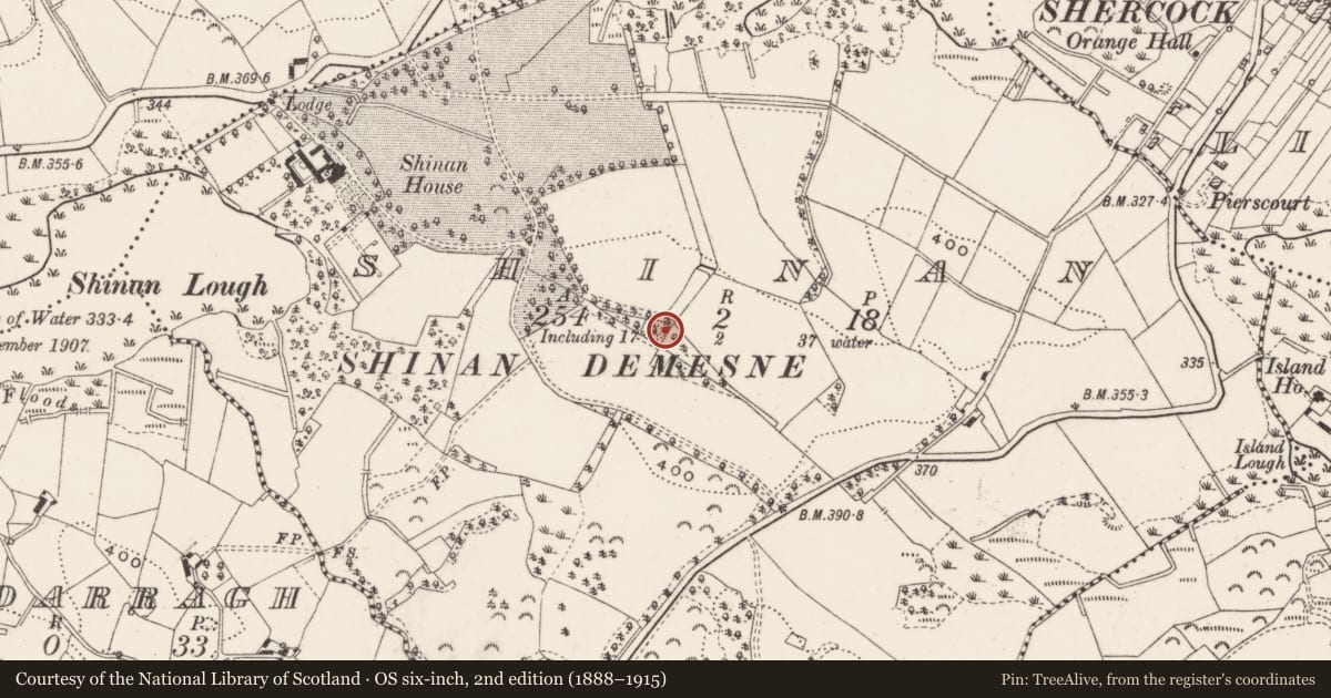 Ordnance Survey six-inch map, 2nd edition (1888–1915) covering the location of Ringfort - rath, Shinan, County Cavan, with a pin at the register's coordinates