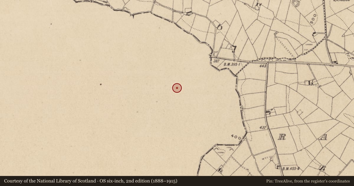 Ordnance Survey six-inch map, 2nd edition (1888–1915) covering the location of Ringfort - rath, Lisataggart, County Cavan, with a pin at the register's coordinates