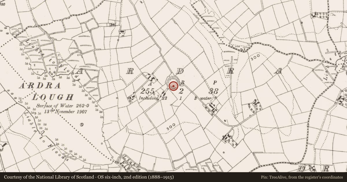 Ordnance Survey six-inch map, 2nd edition (1888–1915) covering the location of Ringfort - rath, Brankill, County Cavan, with a pin at the register's coordinates