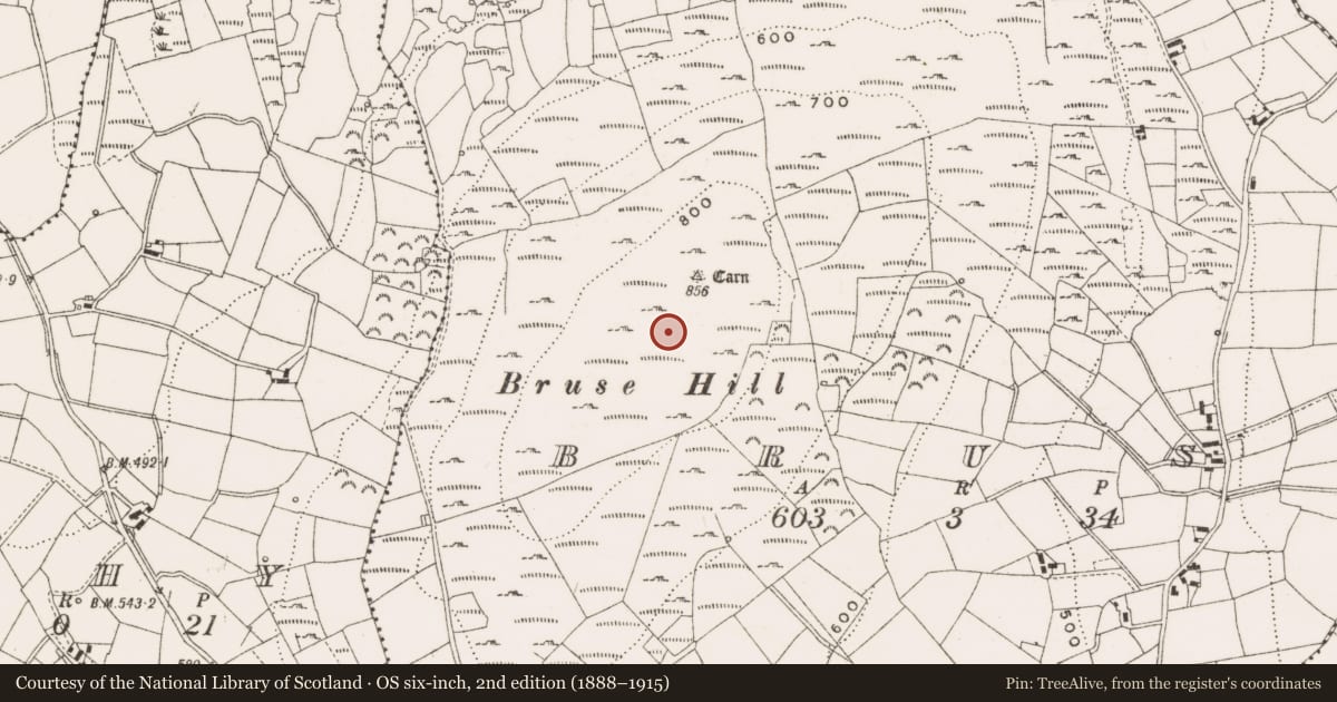 Ordnance Survey six-inch map, 2nd edition (1888–1915) covering the location of Cairn - unclassified, Bruse, County Cavan, with a pin at the register's coordinates