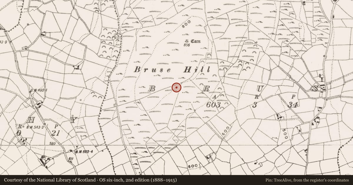 Ordnance Survey six-inch map, 2nd edition (1888–1915) covering the location of Cairn - unclassified, Bruse, County Cavan, with a pin at the register's coordinates
