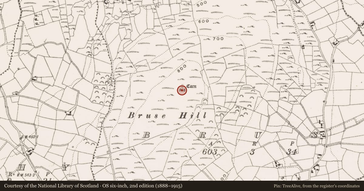 Ordnance Survey six-inch map, 2nd edition (1888–1915) covering the location of Cairn - unclassified, Bruse, County Cavan, with a pin at the register's coordinates