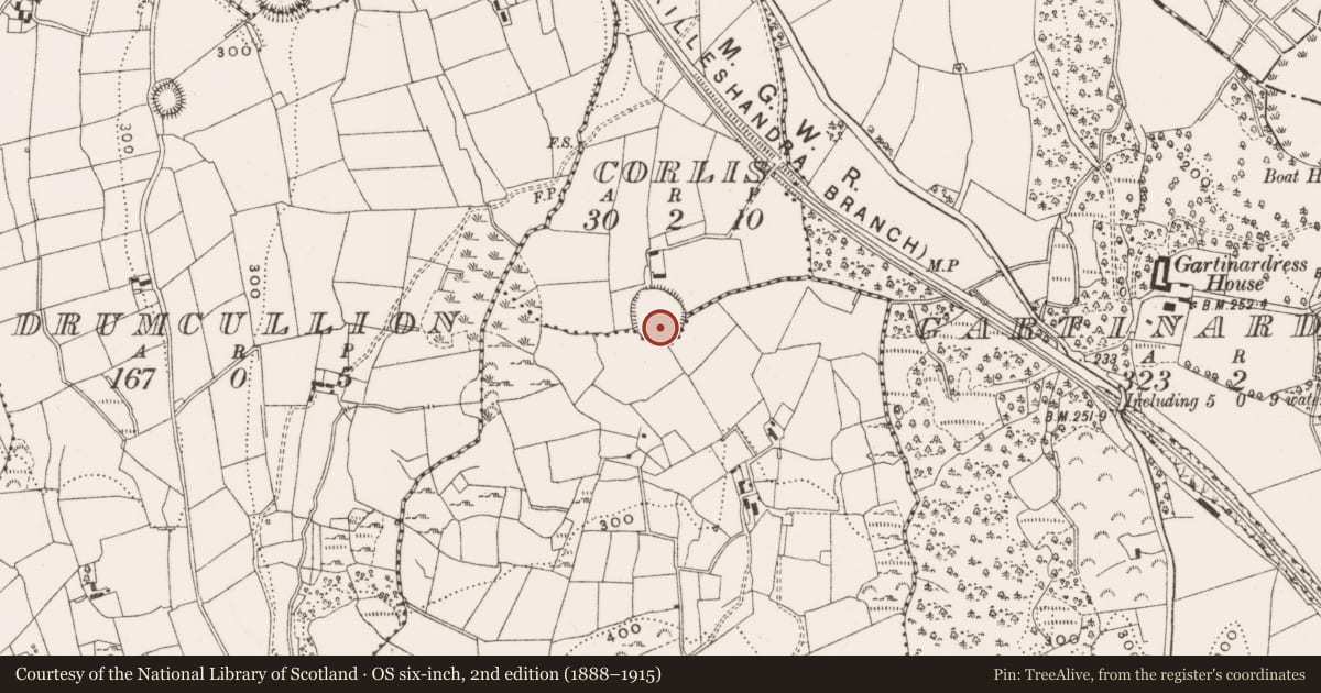 Ordnance Survey six-inch map, 2nd edition (1888–1915) covering the location of Ringfort - rath, Corlis, County Cavan, with a pin at the register's coordinates