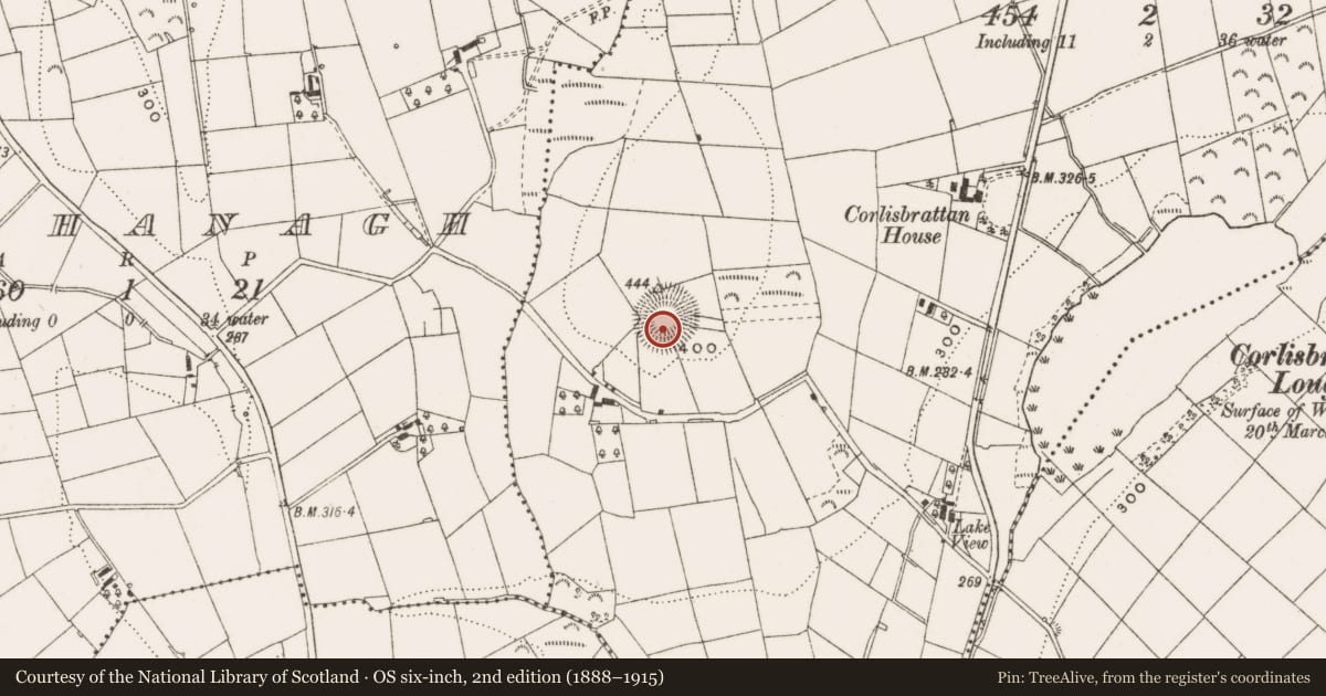 Ordnance Survey six-inch map, 2nd edition (1888–1915) covering the location of Ringfort - rath, Corlisbrattan, County Cavan, with a pin at the register's coordinates