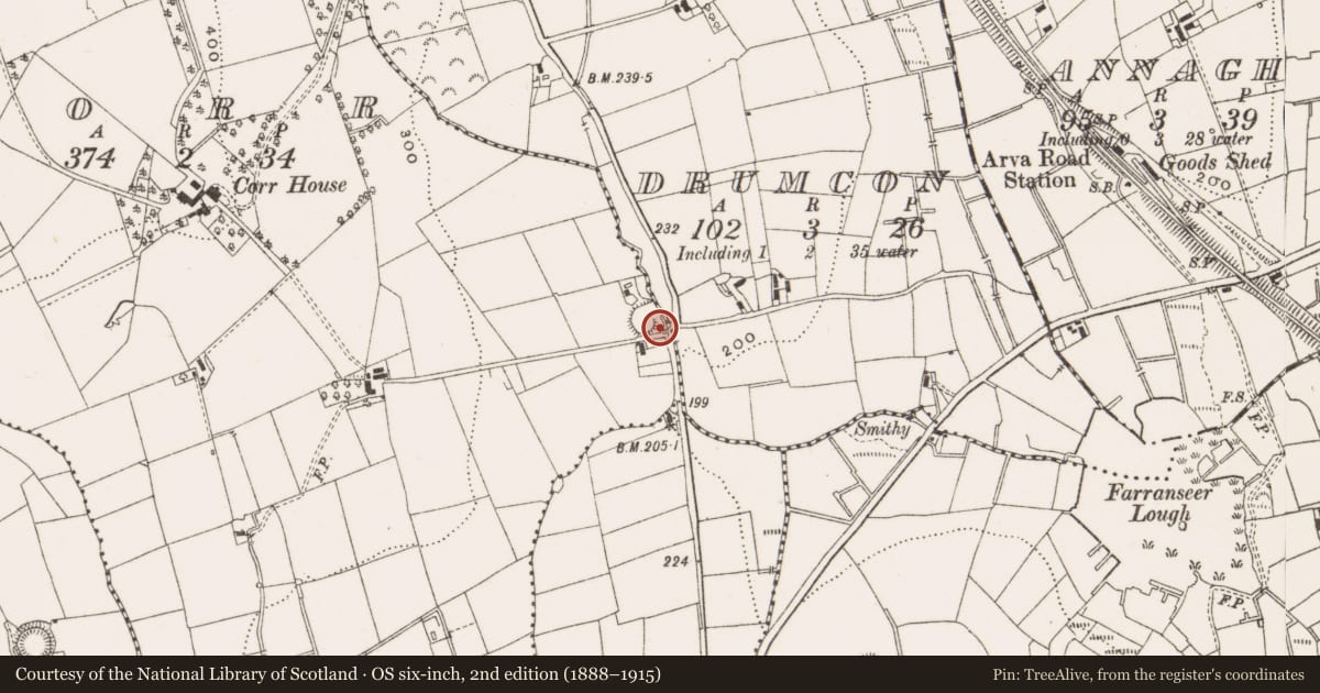 Ordnance Survey six-inch map, 2nd edition (1888–1915) covering the location of Well, Corr, County Cavan, with a pin at the register's coordinates