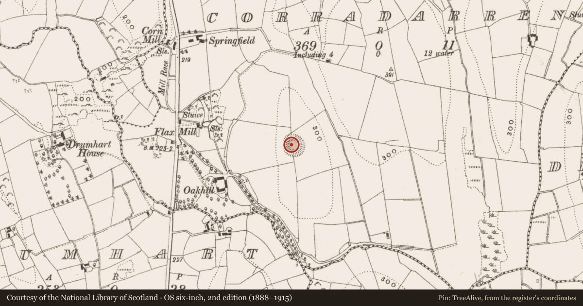 Ordnance Survey six-inch map, 2nd edition (1888–1915) covering the location of Ringfort - rath, Corradarren, County Cavan, with a pin at the register's coordinates