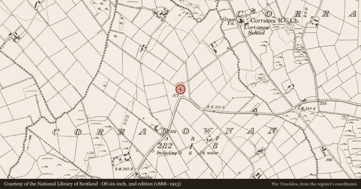 Ordnance Survey six-inch map, 2nd edition (1888–1915) covering the location of Ringfort - rath, Corradownan, County Cavan, with a pin at the register's coordinates