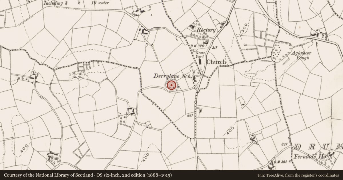 Ordnance Survey six-inch map, 2nd edition (1888–1915) covering the location of Ringfort - rath, Derrylane, County Cavan, with a pin at the register's coordinates