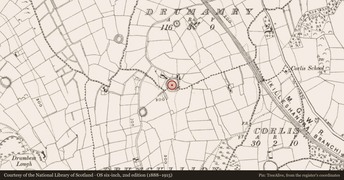 Ordnance Survey six-inch map, 2nd edition (1888–1915) covering the location of Ringfort - rath, Drumamry, County Cavan, with a pin at the register's coordinates