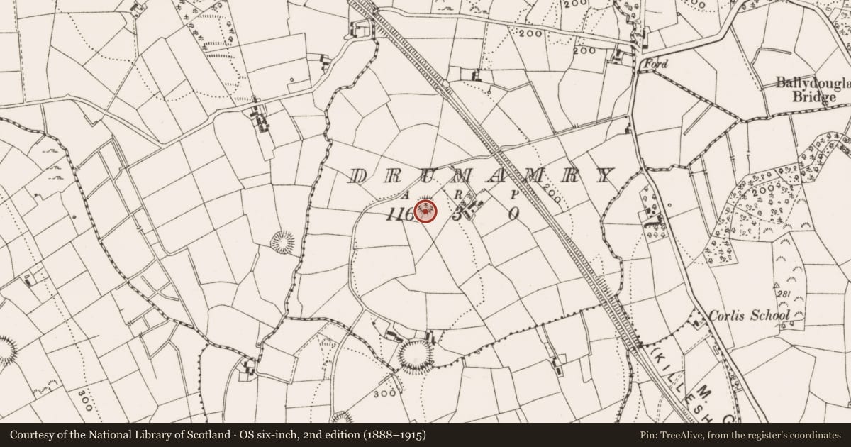 Ordnance Survey six-inch map, 2nd edition (1888–1915) covering the location of Ringfort - rath, Drumamry, County Cavan, with a pin at the register's coordinates