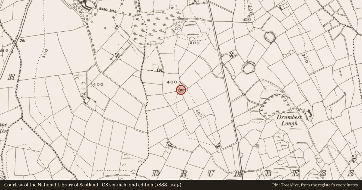 Ordnance Survey six-inch map, 2nd edition (1888–1915) covering the location of Ringfort - rath, Drumbess, County Cavan, with a pin at the register's coordinates