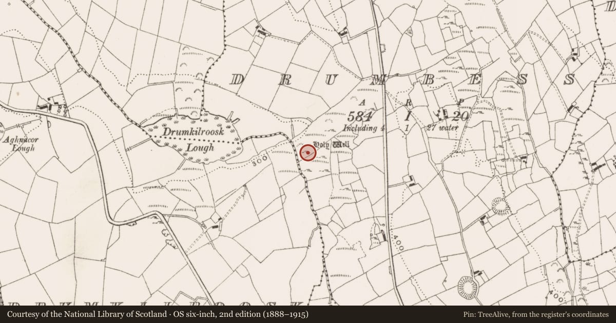 Ordnance Survey six-inch map, 2nd edition (1888–1915) covering the location of Ritual site - holy well, Drumbess, County Cavan, with a pin at the register's coordinates