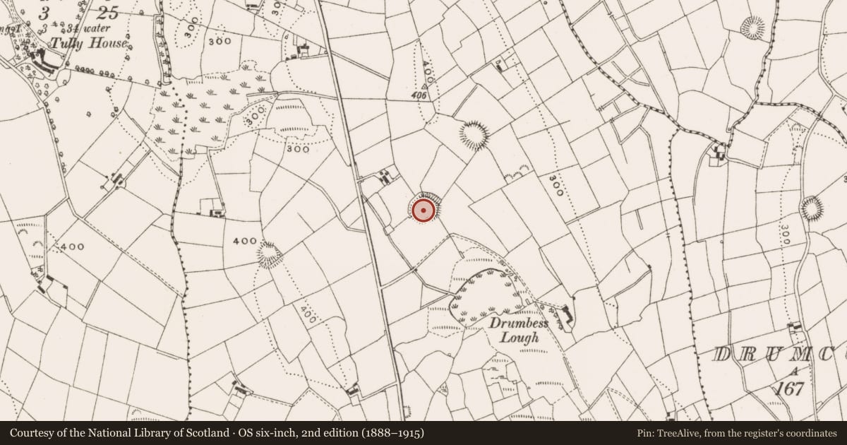 Ordnance Survey six-inch map, 2nd edition (1888–1915) covering the location of Ringfort - rath, Drumbess, County Cavan, with a pin at the register's coordinates