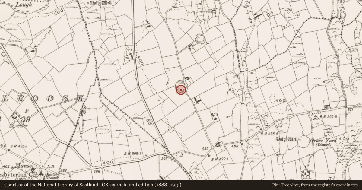Ordnance Survey six-inch map, 2nd edition (1888–1915) covering the location of Ringfort - rath, Drumbess, County Cavan, with a pin at the register's coordinates