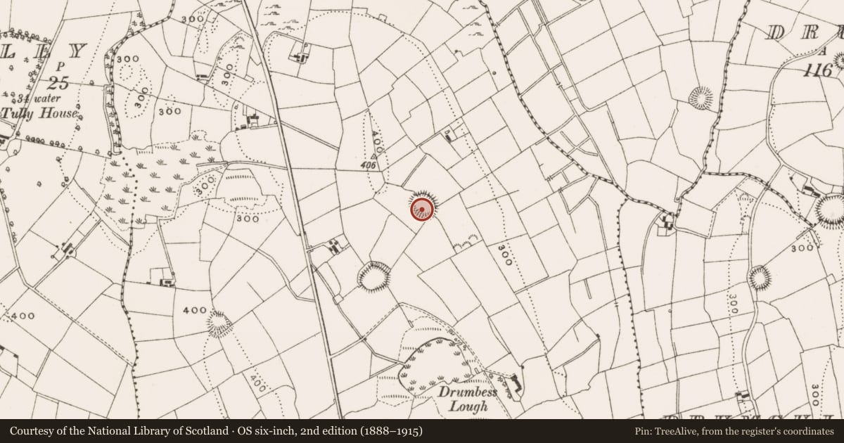 Ordnance Survey six-inch map, 2nd edition (1888–1915) covering the location of Ringfort - rath, Drumbess, County Cavan, with a pin at the register's coordinates