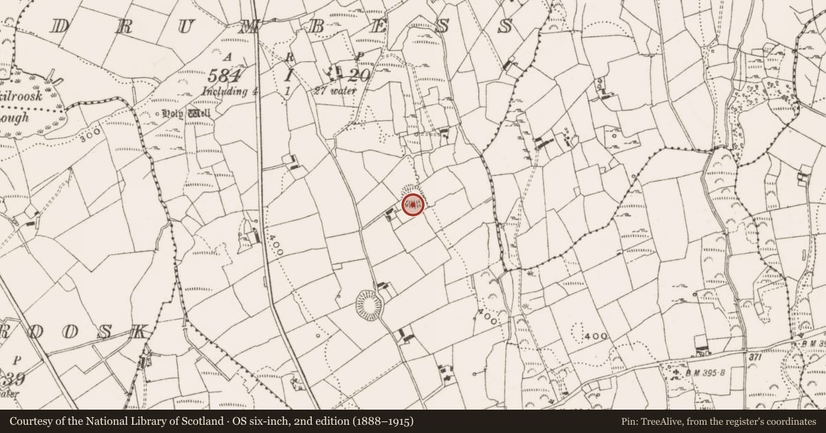 Ordnance Survey six-inch map, 2nd edition (1888–1915) covering the location of Ringfort - rath, Drumbess, County Cavan, with a pin at the register's coordinates